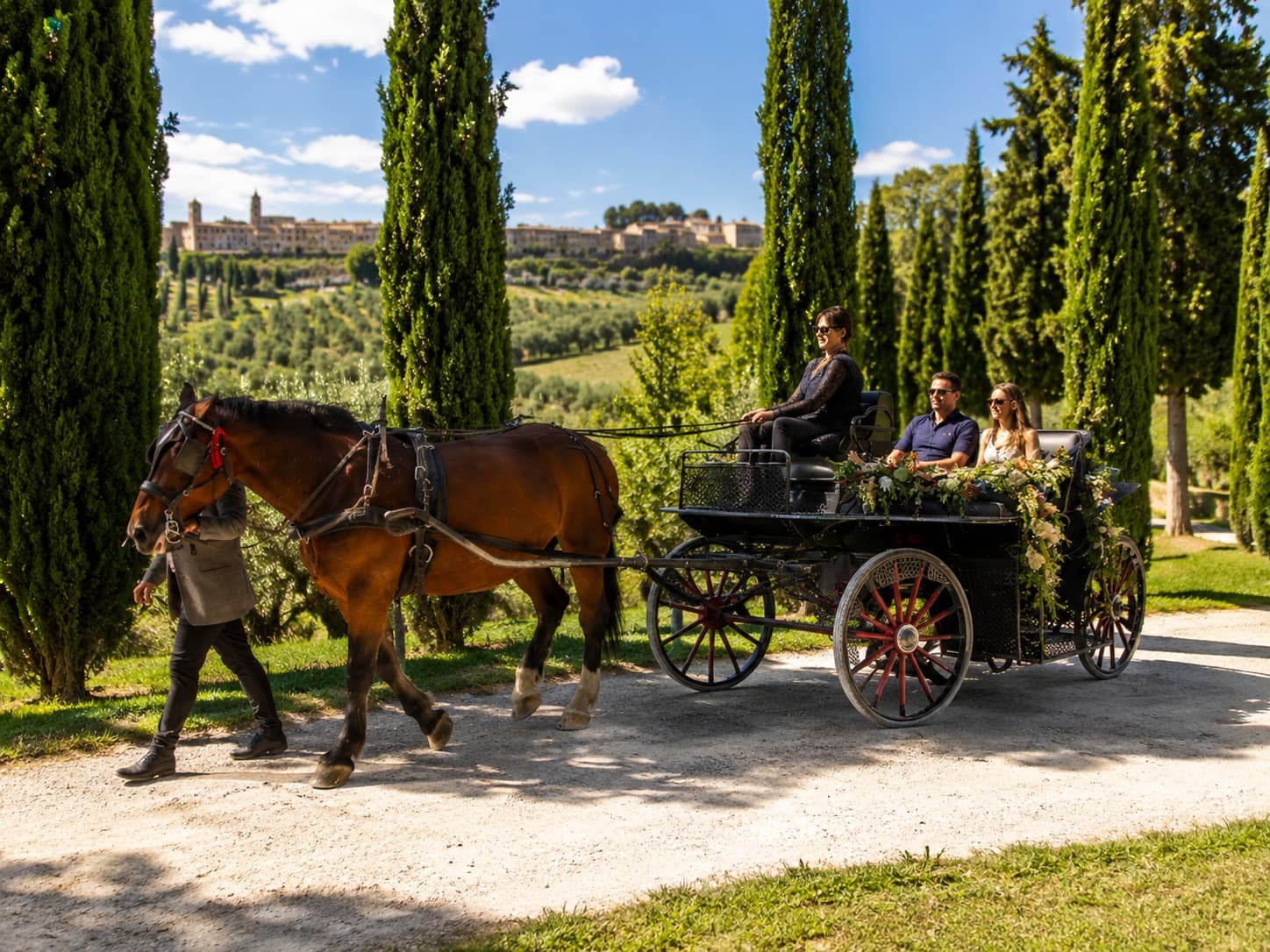 Horse-drawn carriage travelling through the countryside near Montepulciano